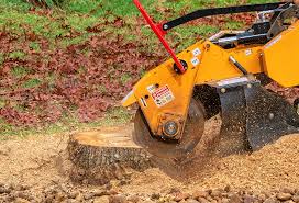 Best Soil Testing and Treatment  in Grove City, FL