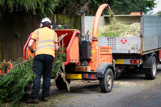 Best Commercial Tree Services  in Grove City, FL